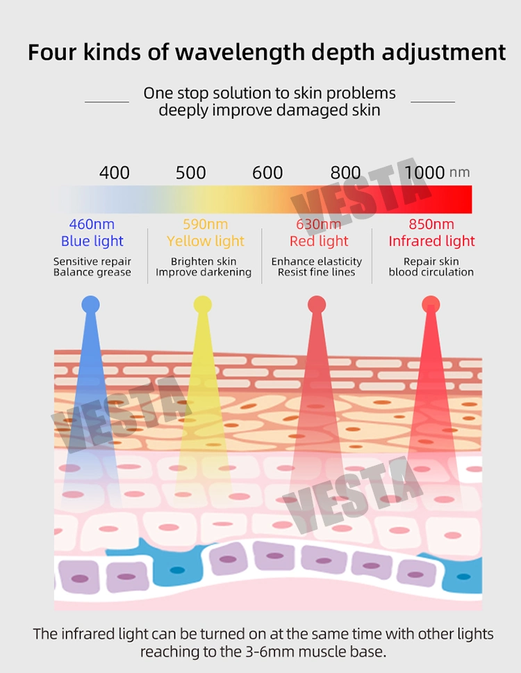 Vesta Hot Selling Silicon Photon Red and Blue Light Therapy Flexible LED Face for Home Use